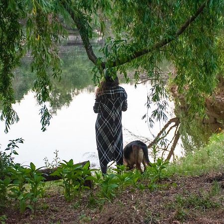 Vila Quinta Da Lontra Tábua Exteriér fotografie