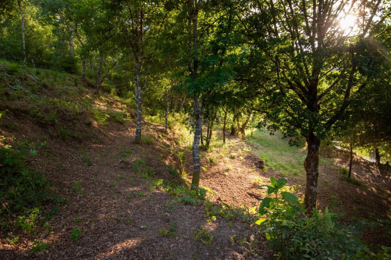 Vila Quinta Da Lontra Tábua Exteriér fotografie