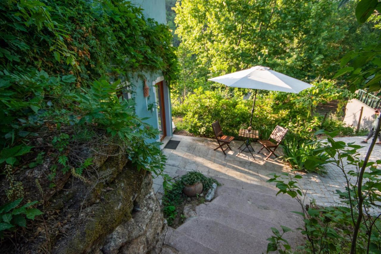 Vila Quinta Da Lontra Tábua Exteriér fotografie