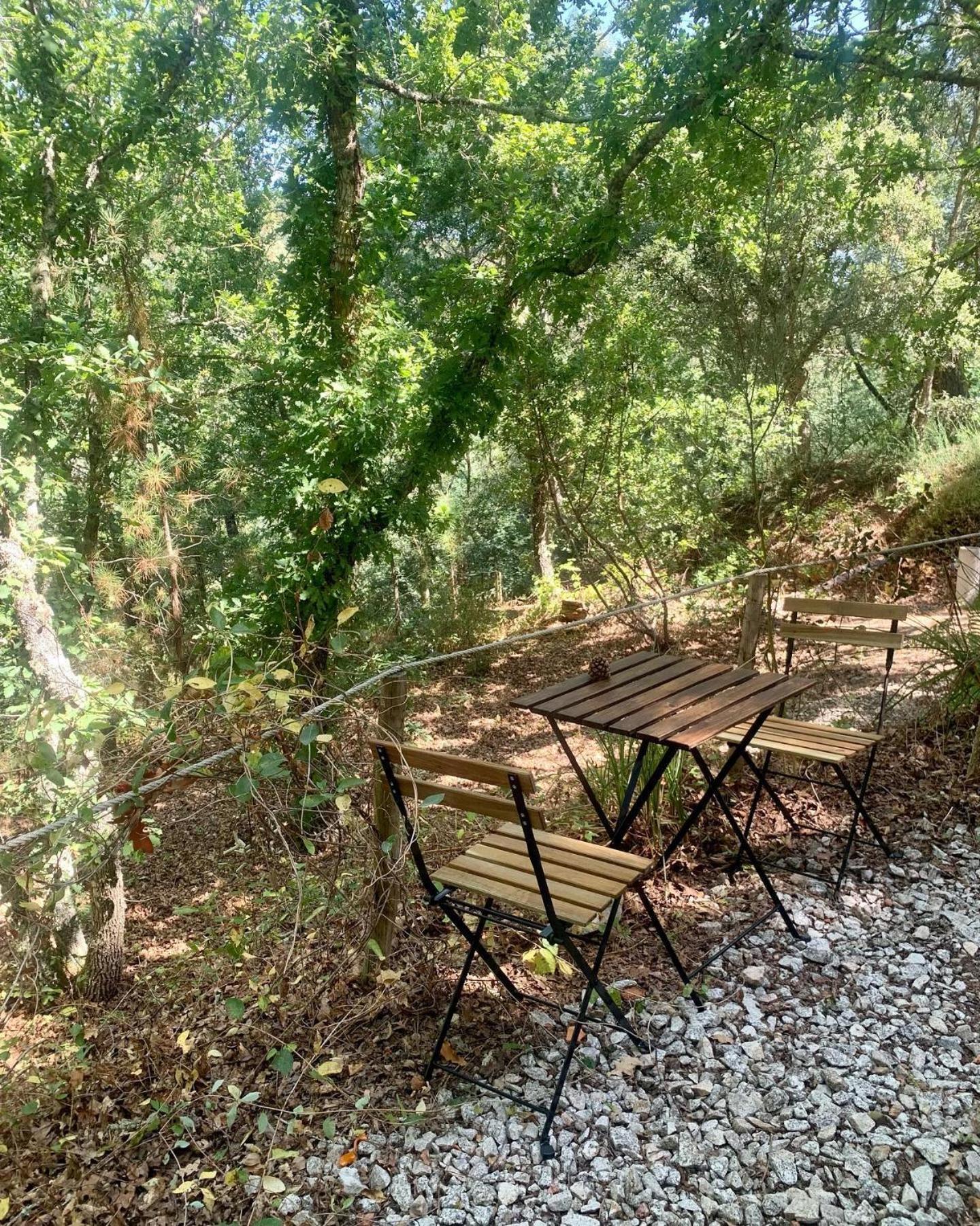 Vila Quinta Da Lontra Tábua Exteriér fotografie