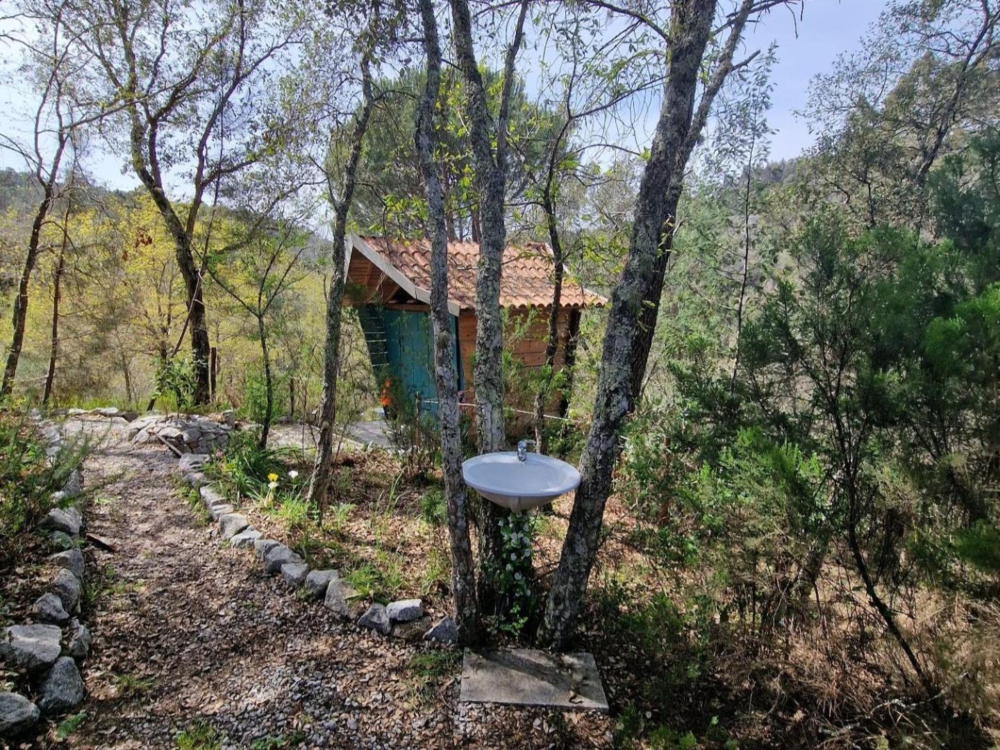 Vila Quinta Da Lontra Tábua Exteriér fotografie