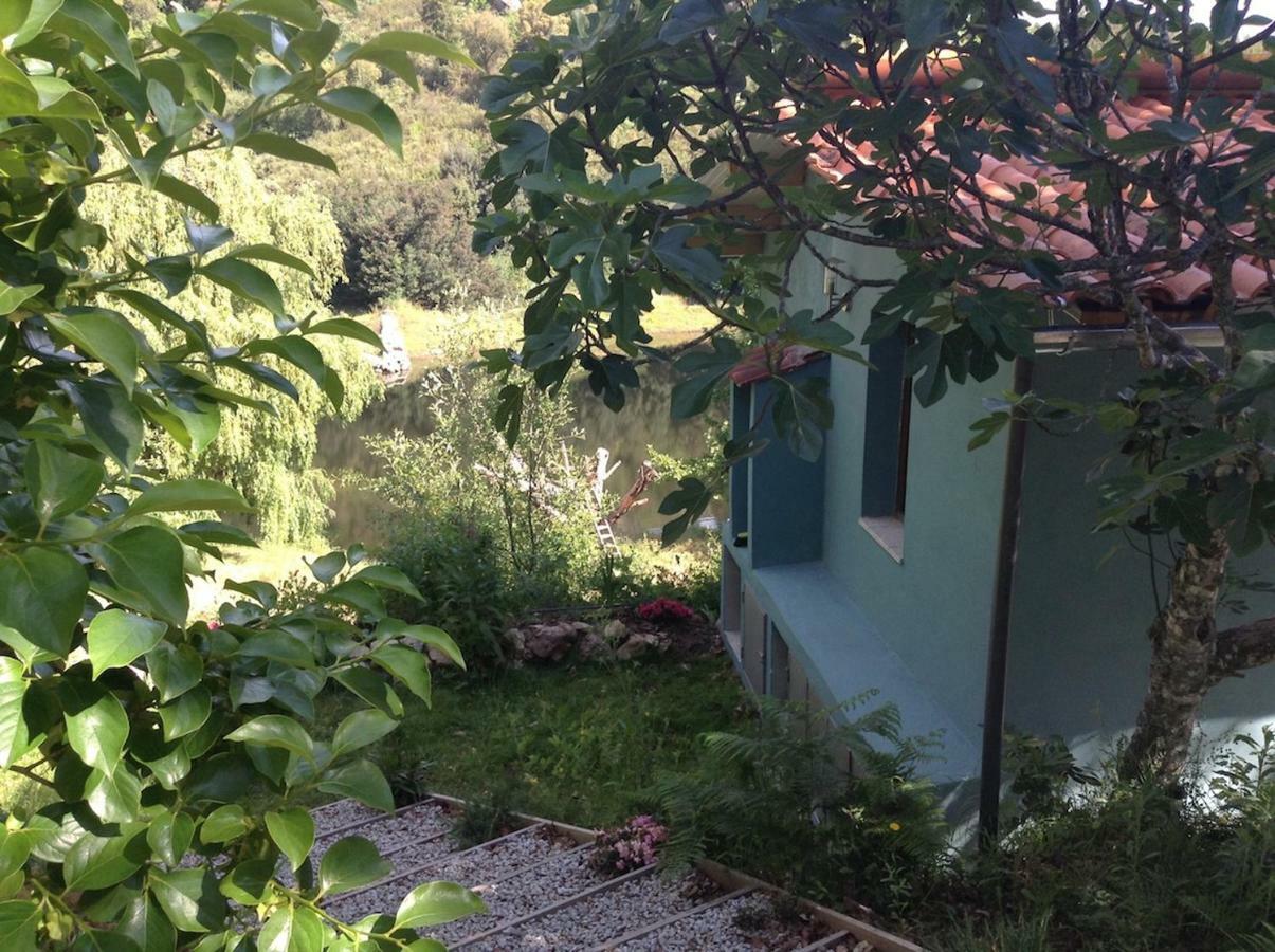 Vila Quinta Da Lontra Tábua Exteriér fotografie
